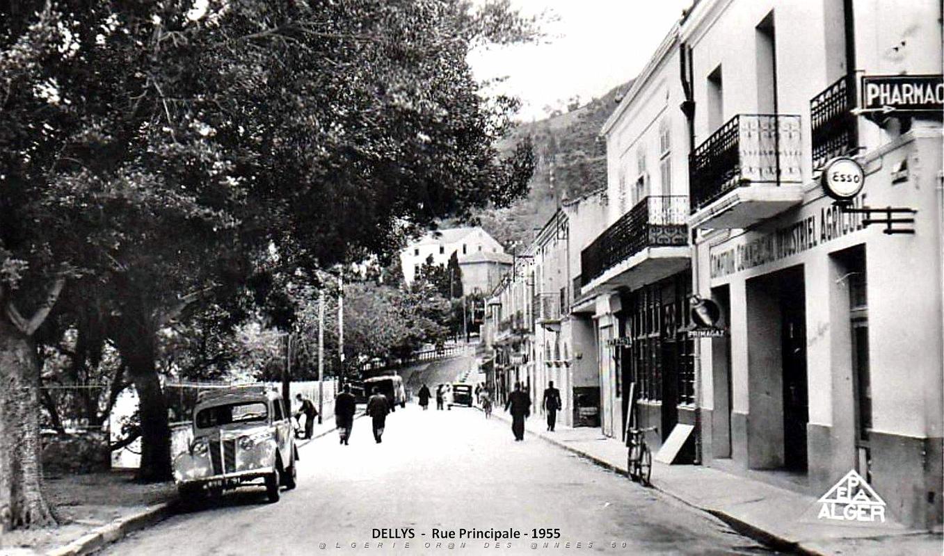 Dellys - Rue principale - 1955.jpg